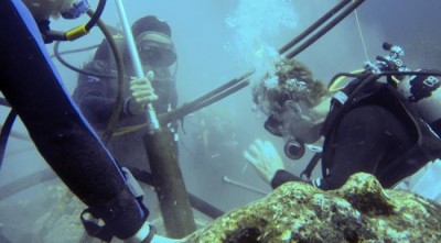 Study finds first evidence of ocean warming around GalÃ¡pagos Corals