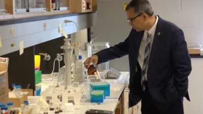 Cancer Research: Fighting the fault in their stars