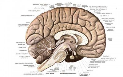 Can Obsessive Compulsive Disorder Be Treated?