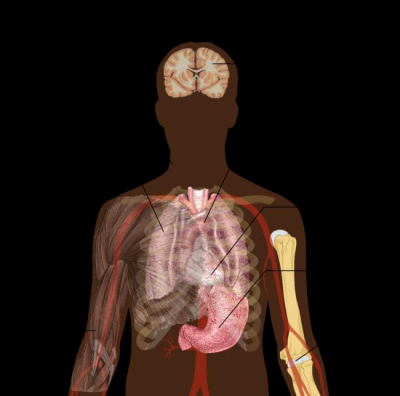 Antimicrobial therapy can prevent sepsis in pneumonia patients: Study