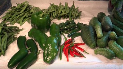 The gradual shaping up of the organic food industry â€“ What investors should keep in mind?