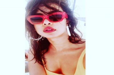 Priyanka Chopra is 'loving summer', shares interesting image on social media