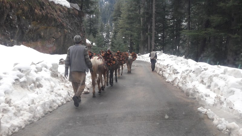 Kashmir in Photo: March 12, 2019