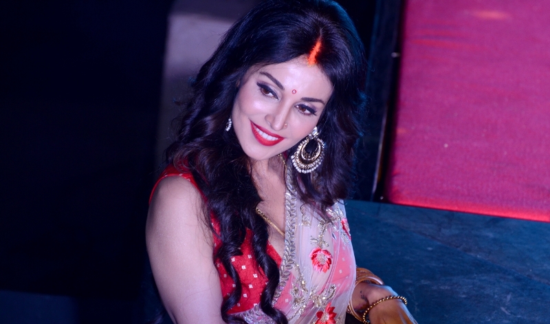 SVF launches Hoichoi web series Dupur Thakurpo 3