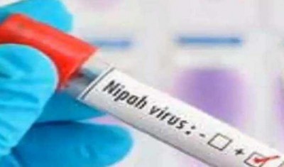 Nipah Virus issue: Kerala CM to chair high-level meeting tomorrow