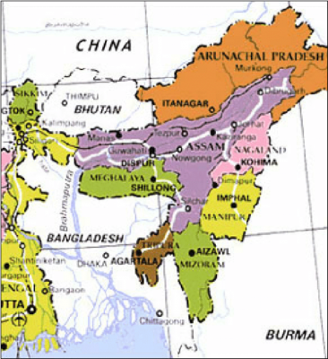 Need for policy framework in shifting cultivation in NE: NITI Aayog member