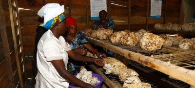 Righting a wrong: UN Fund helps thousands of sex abuse survivors rebuild their lives