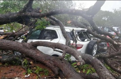 Cyclone Fani claims three lives in Odisha, likely to hit WB tonight