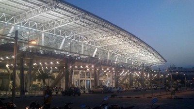 Chennai: 65 star tortoises, 4 gold Ganesha Idols seized at airport, one arrested