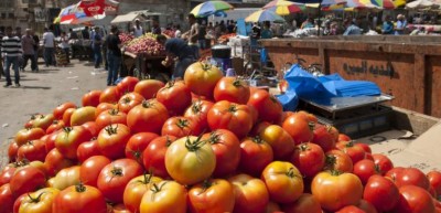 â€˜Shared responsibilityâ€™ to stop 420,000 needless deaths from tainted food each year, UN, world leaders warn