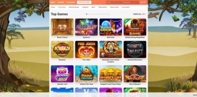 The Basics of Online Slots