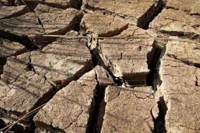 Sunstroke claims 12 lives in last 24 hours in Nagpur