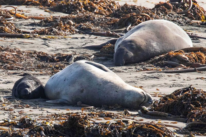 World of Photos : Dec 10 , 2019