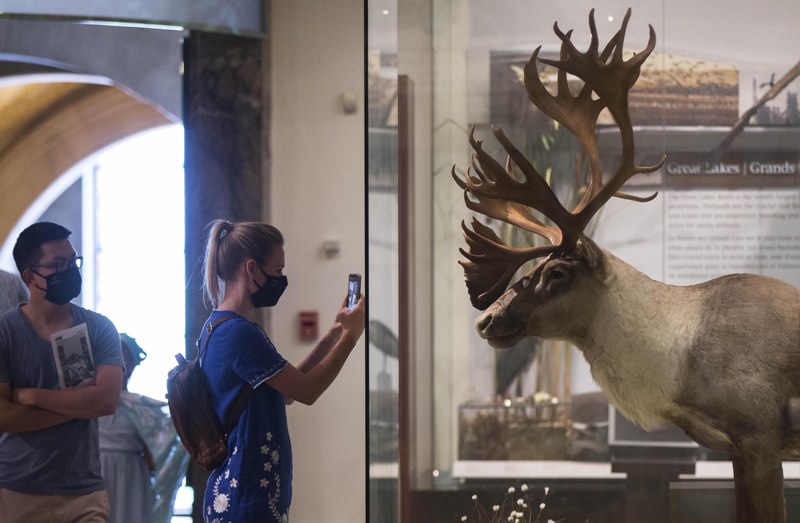 World in Photo : july 11 , 2020