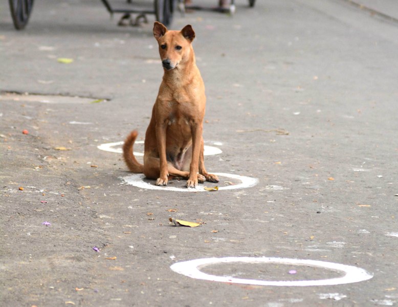 #IndiaFightsCorona: Glimpses of Lockdown