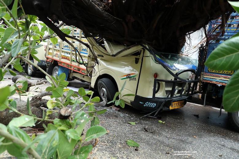 Cyclone Amphan leaves trail of devastation in West Bengal capital Kolkata