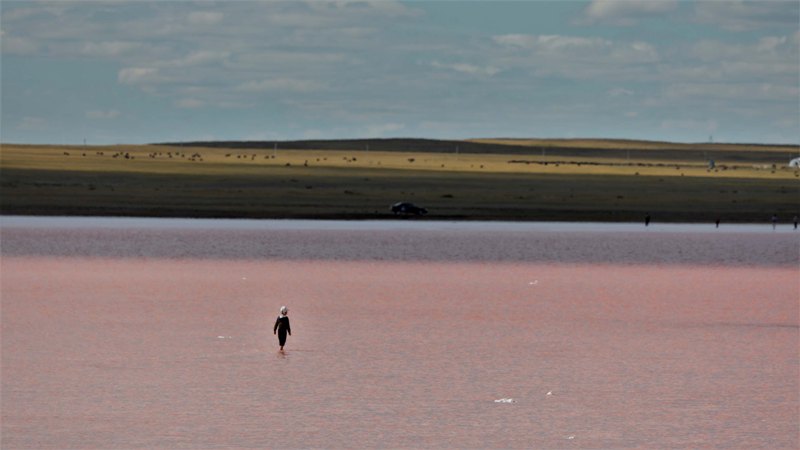 World in Photo : June 21, 2020