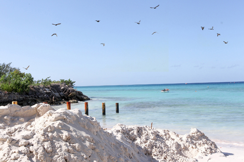 COVID-19: Barbados tourism hit by pandemic