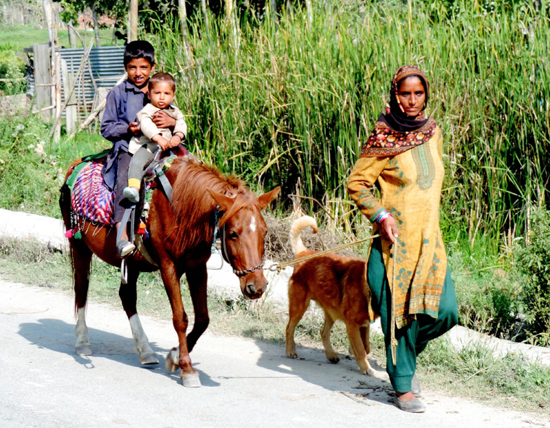 Nomadic people moving to lower regions ahead of winter in Kashmir