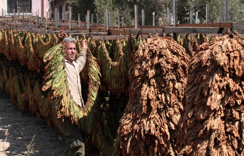 World in Photos  : Aug 25 , 2020