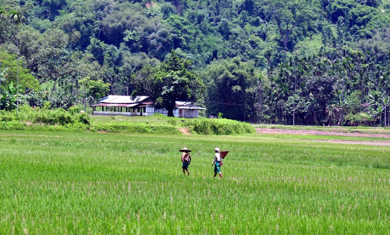 India in Photo : Aug 3 , 2020