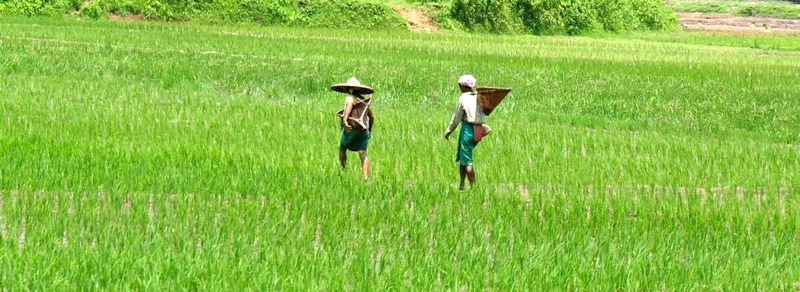 India in Photo : Aug 3 , 2020