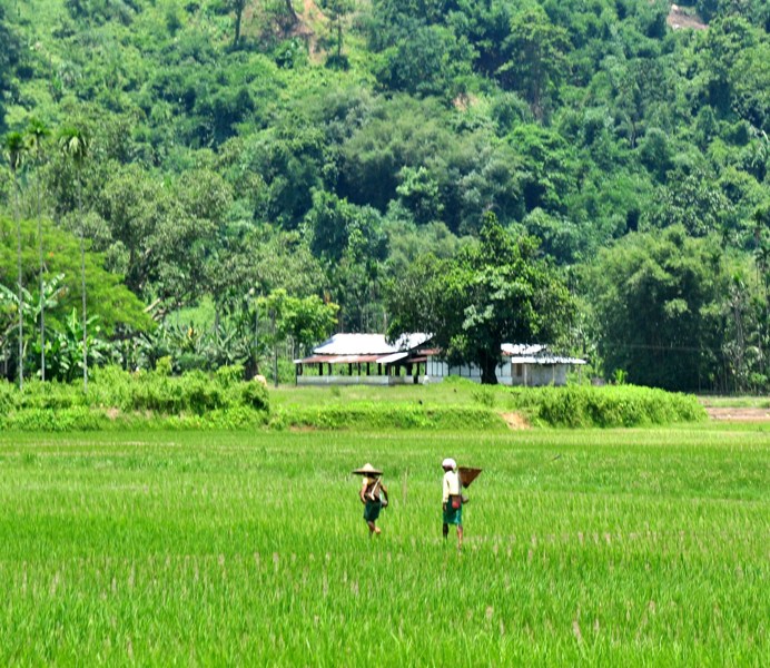 India in Photo : Aug 3 , 2020