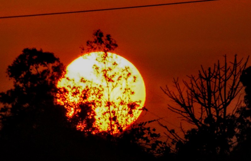 World in Photo : March 9, 2020