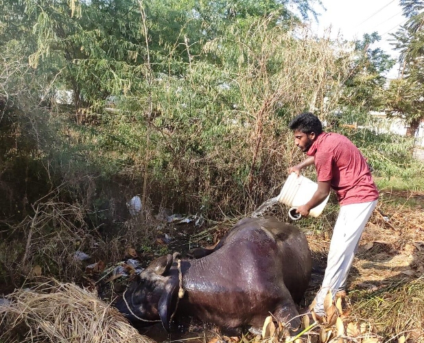 Gas leaks at chemical plant in Visakhapatnam, several die