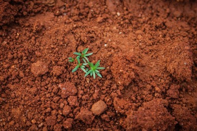 Jammu and Kashmir: Webinar organized on World Soil Day in Srinagar