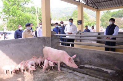 Assam CM directs state Veterinary and Forest department to work with ICAR to deal with African Swine Fever