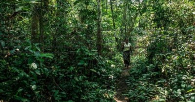 Turn around deforestation in 2020, the â€˜Nature Super Yearâ€™, says Guterres