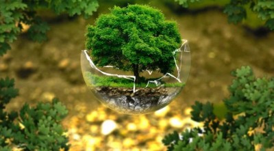 Lockdown effect: NO2 level reduces sharply in air