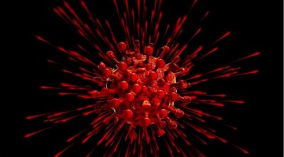 South Korea reports 8 more COVID-19 cases, 10,702 in total