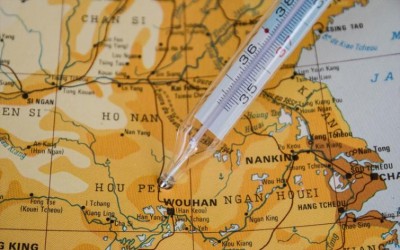 China's Hubei reports no increase in COVID-19 cases