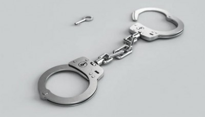 Australia sentences Japanese traveller for possessing child pornography