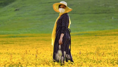 Protect the environment, prevent pandemics, â€˜nature is sending us a clear messageâ€™