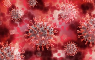 Haryana records 266 fresh cases, tally 17,770