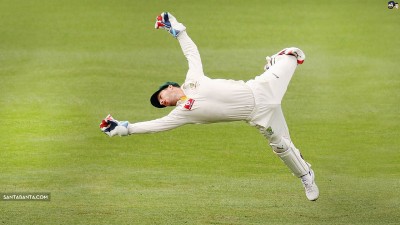 Mathew Wade says India pace attack no match to Wagner's bouncer