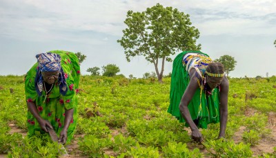 New ECOSOC President outlines focus on pandemic, SDGs and climate action
