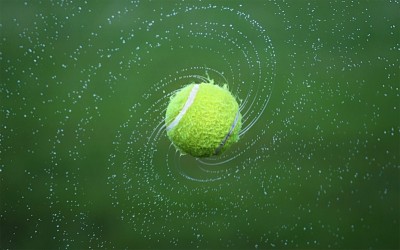 2020 Washington ATP Open canceled