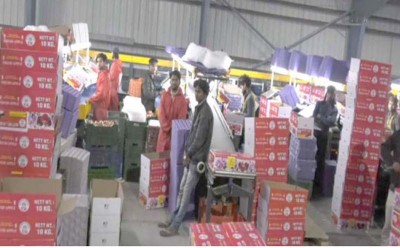 Horticulture continues to be torch-bearer of Kashmir's economy