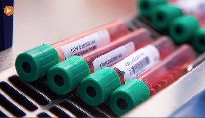 Global solution to COVID-19 in sight, ‘we sink or we swim together’: WHO chief