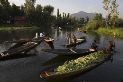 Kashmir: Vendors carry vegetables on boats at a floating vegetable market in Dal Lake