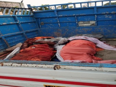 47 more accused in Palghar lynching granted bail