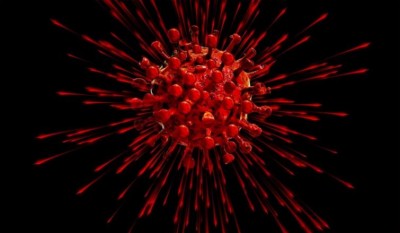 New Zealand reports 13 new cases of COVID-19 as gov't steps up health response