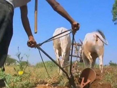 Centre released Rs 15,841 crore under PM KISAN in the lockdown period