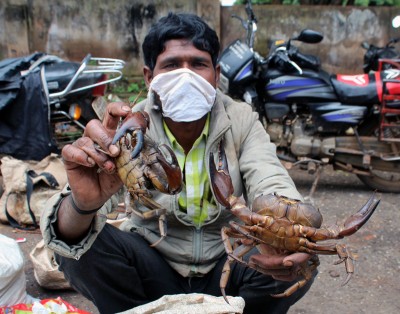Belagavi: Villagers waiting to sell Black Crabs