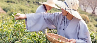 ‘Country-driven’ approach needed to limit COVID-19 damage to food security