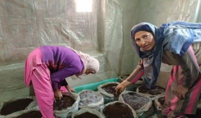 A new ray of hope in North Kashmir's border area of Kupwara